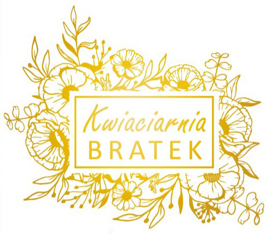 67bd4c9e-b54d-4c99-837e-cb10013e24cb (1)